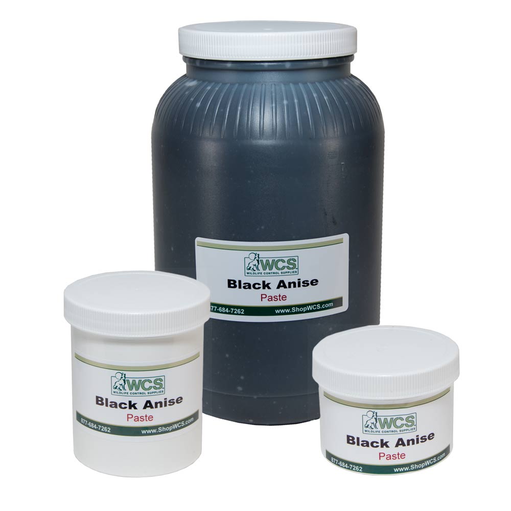 WCS Black Anise Paste Bait
